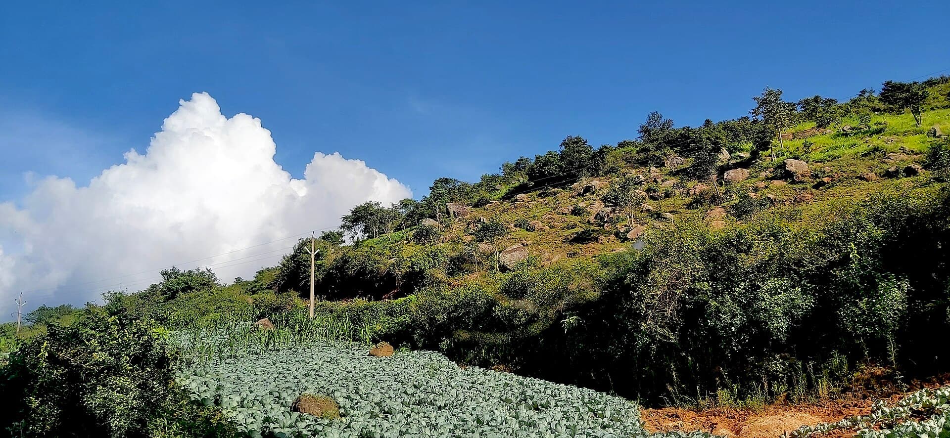 The open Deomali ridgeline in Koraput district, part of the Eastern Ghats highlands of southern Odisha